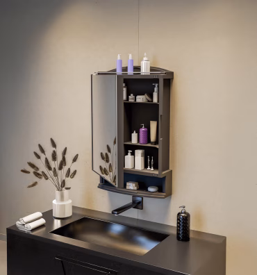 Mirror Cabinets